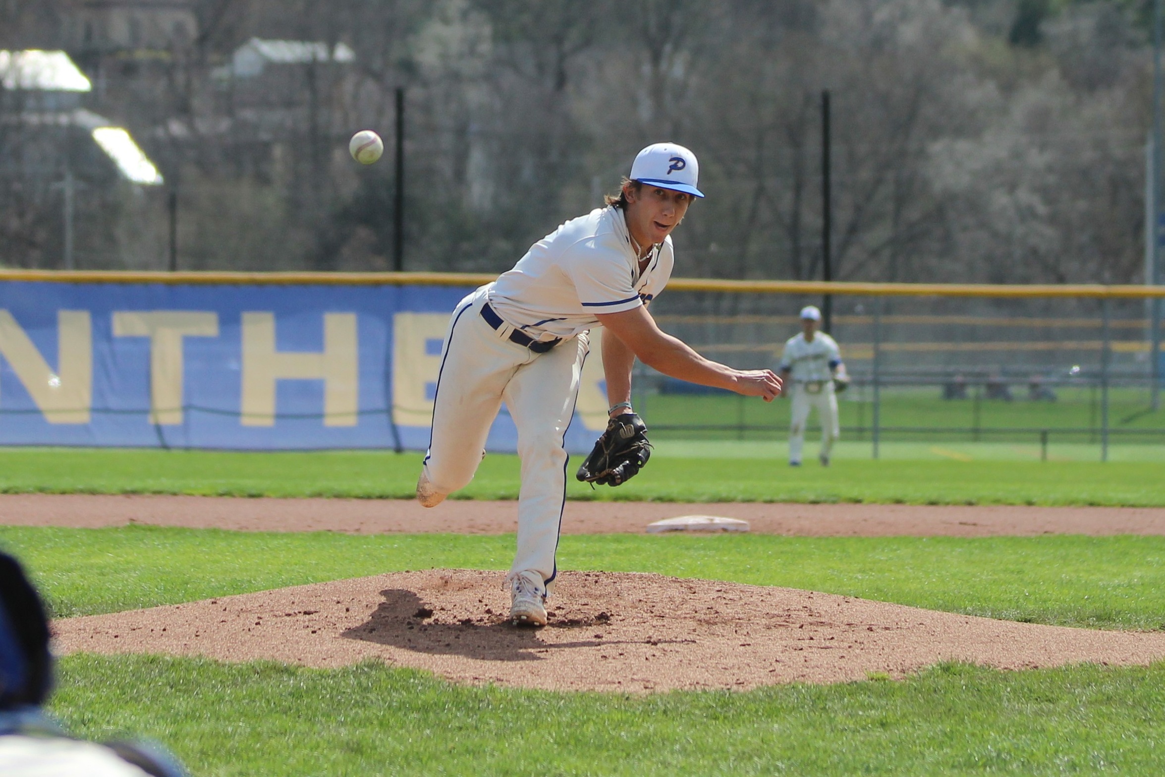 Late Rally Falls Short, Panthers' Season Ends vs. Alfred State