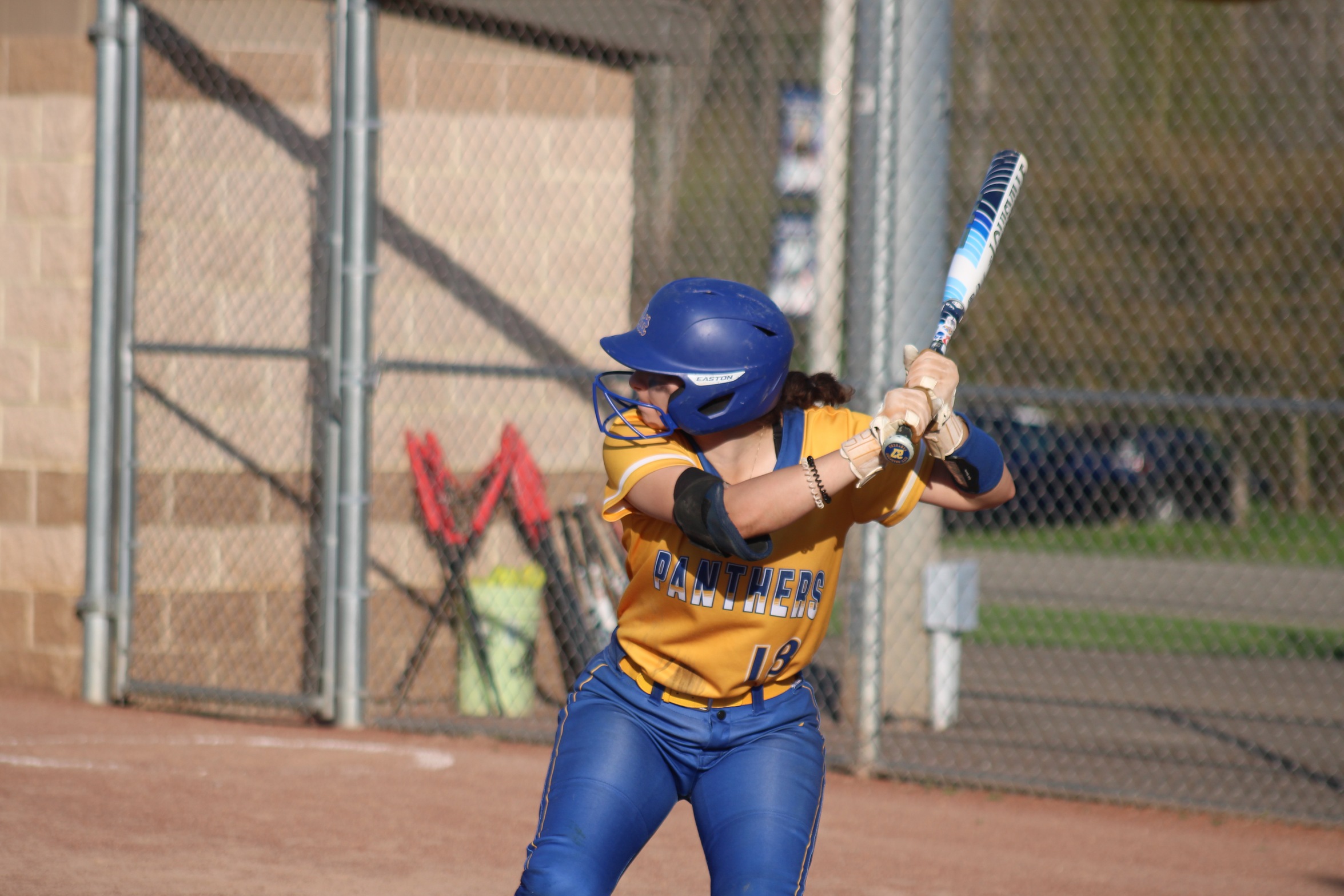 Panthers Win Rematch with Bobcats, Advance to Day 3 at AMCC Championship Tournament