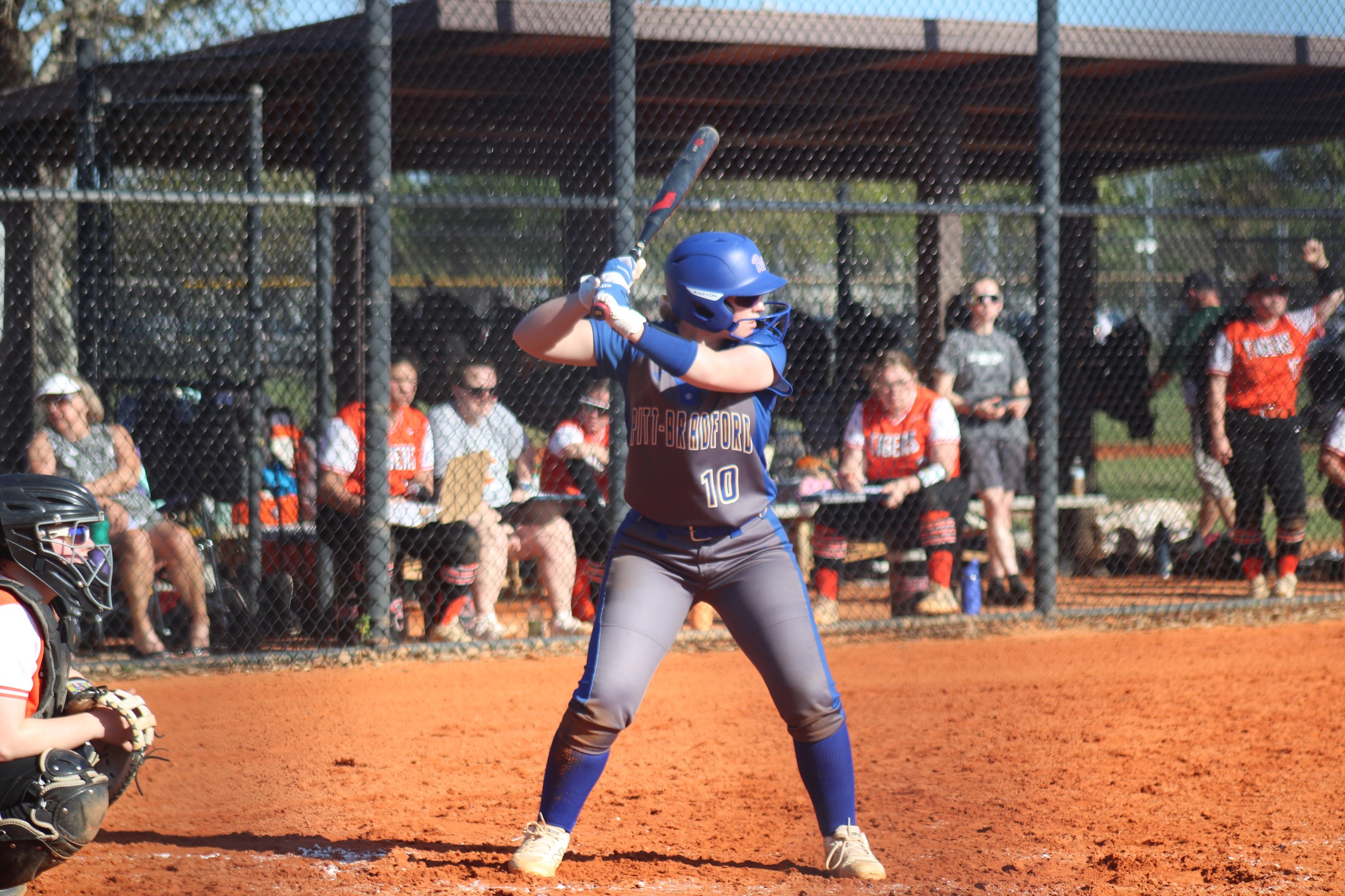 Panthers Ambushed by Lions, Season Ends at AMCC Tournament
