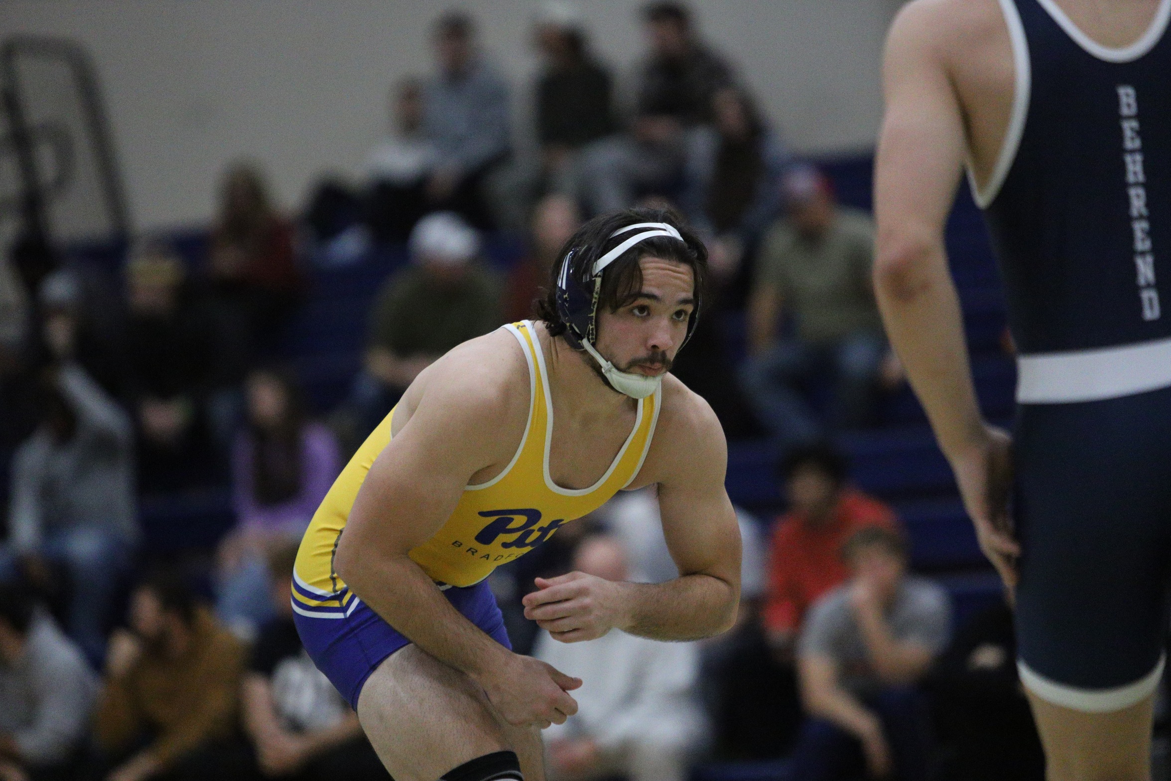 Panthers Wrap Up Season at NCAA Region II Qualifying Tournament