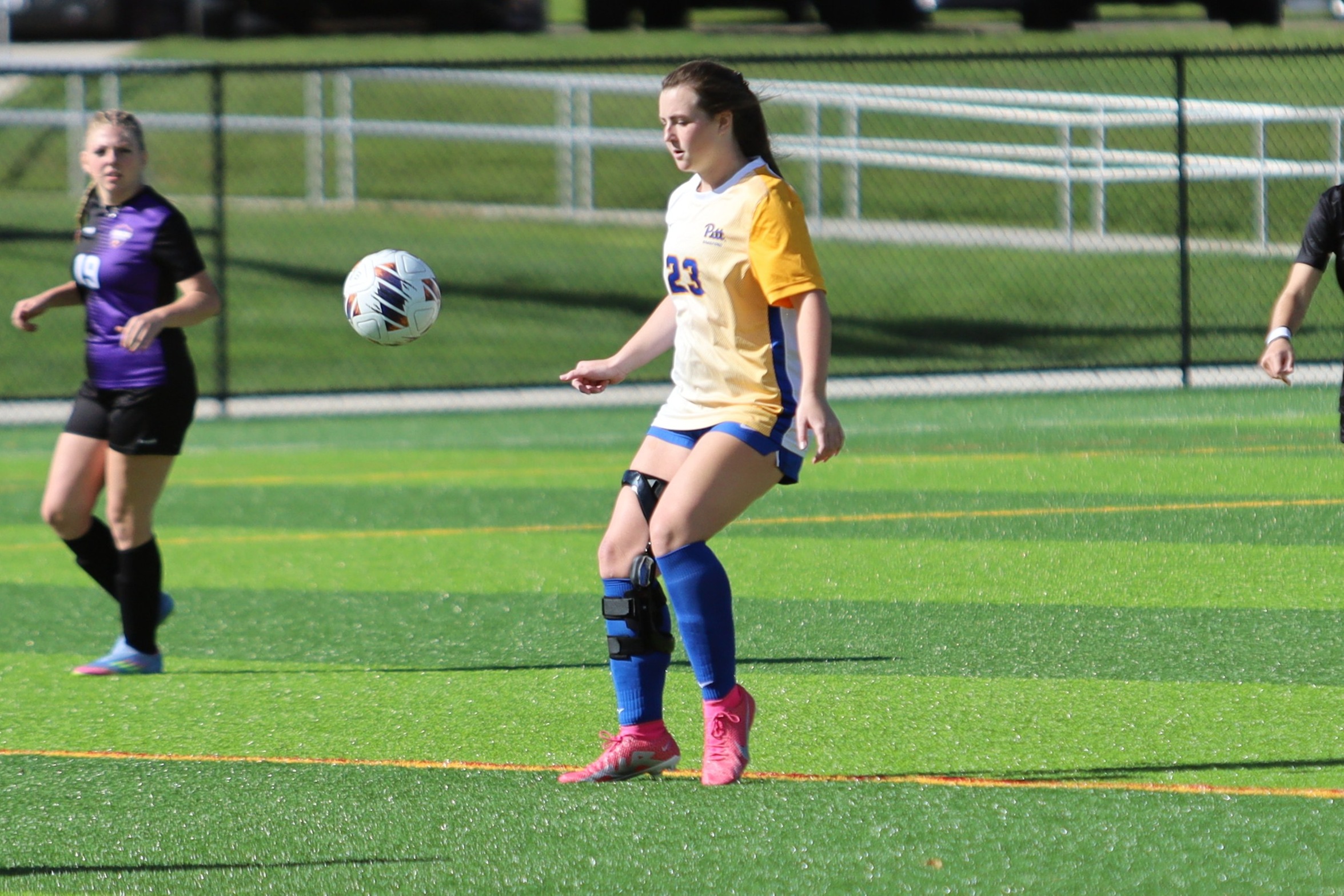 Stowe Scores as Panthers are Dropped by Hawks