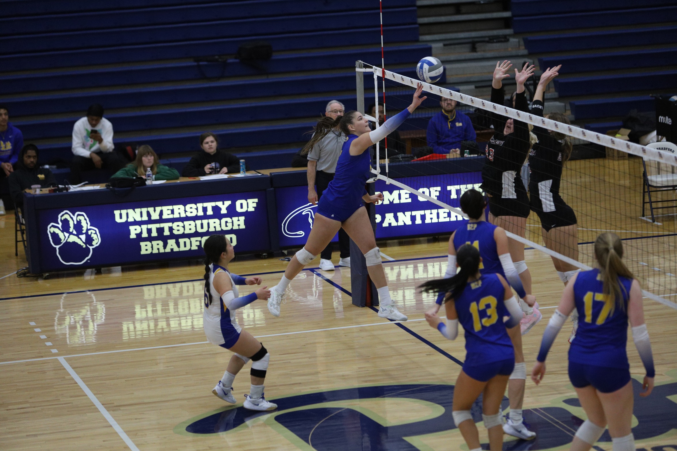 Panthers Takedown Pioneers in Five, Step Toward a Return to Postseason