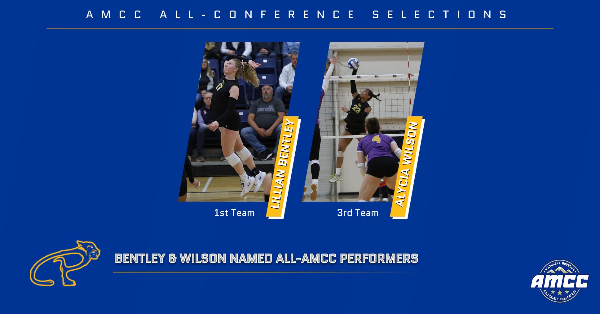 Two Panthers Earn All-AMCC Volleyball Honors